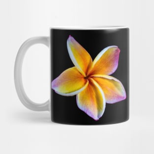 plumeria-flowers-frangipani-floral-blossom-petal-shirtyshirto-34 Mug